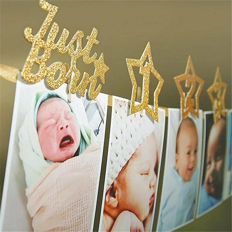 12 Month Milestone Photo Banner Party DIY Decor