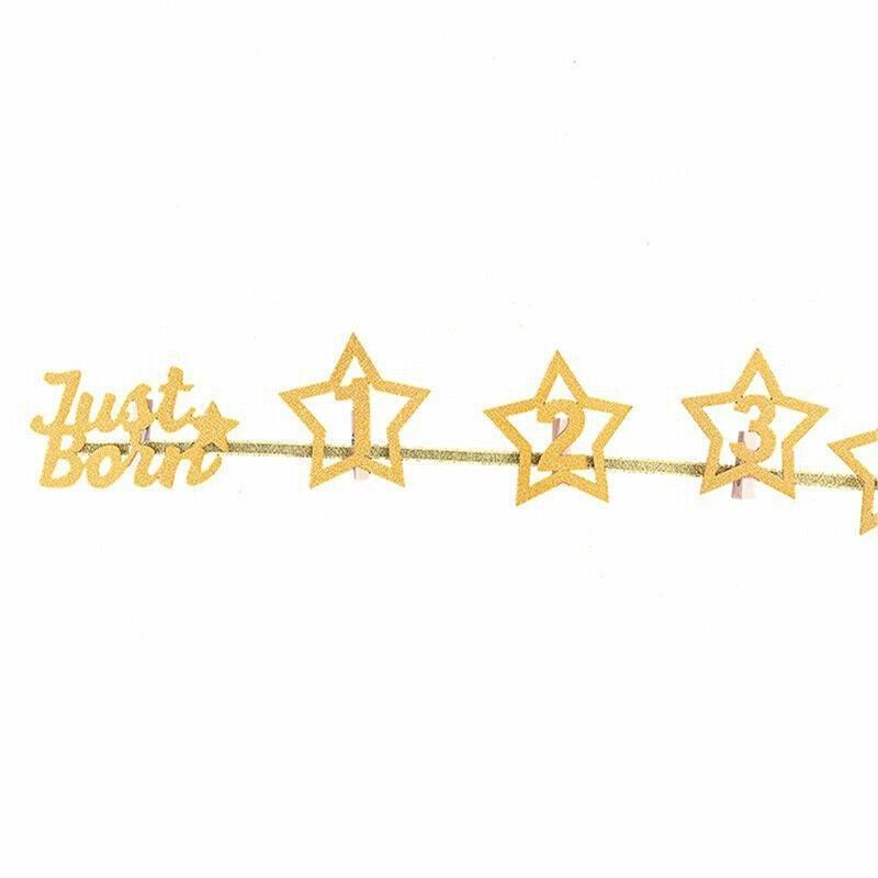 12 Month Milestone Photo Banner Party DIY Decor