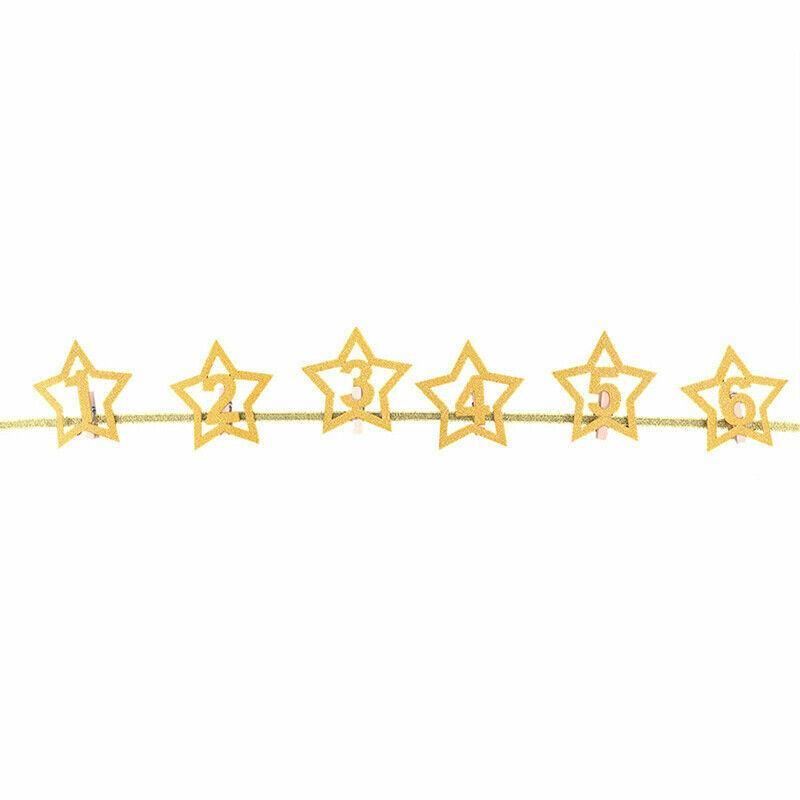 12 Month Milestone Photo Banner Party DIY Decor