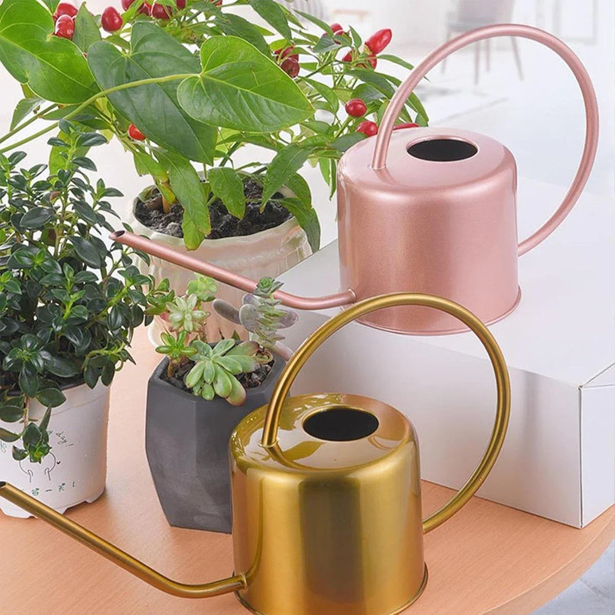 Indoor and Garden Plants Metal Retro Watering Can 6 Colors 1PC