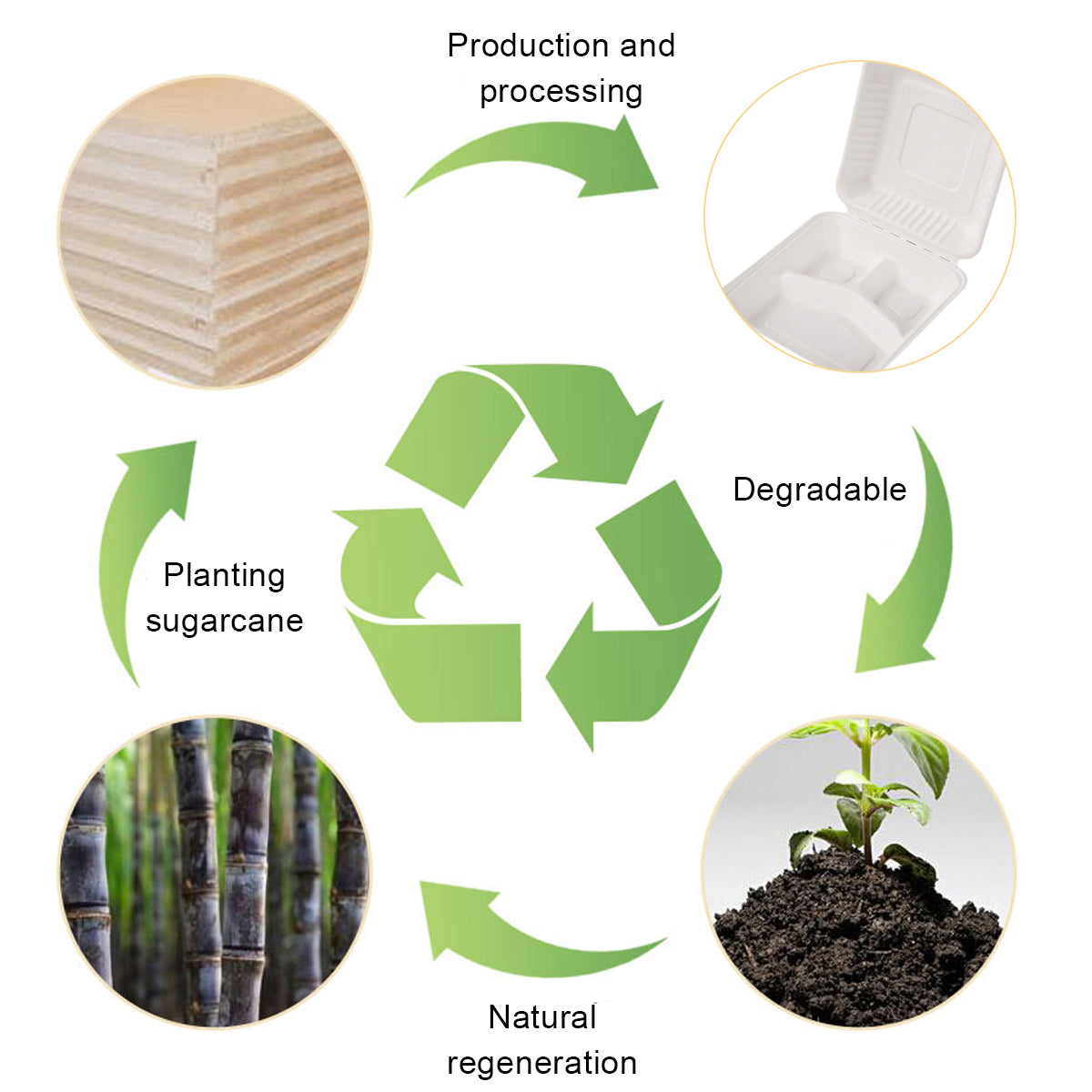 100PCS Disposable Biodegradable Lunch Box for Food Storage Takeaway Meal Safe