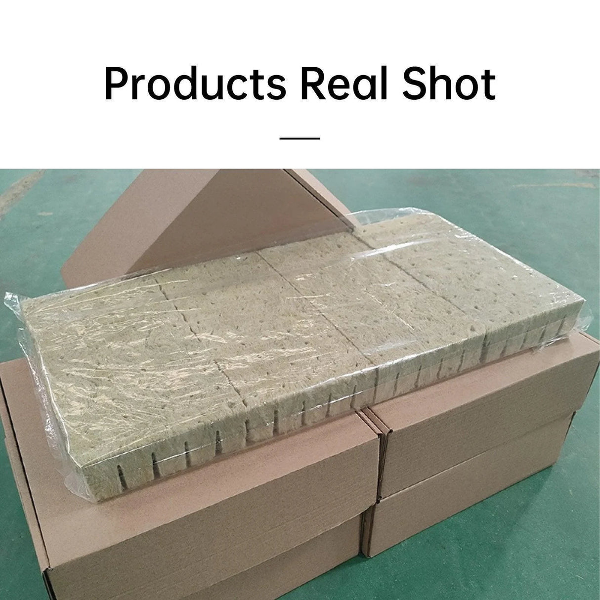 Maximize Your Plant Growth with Propagation Grow Cubes