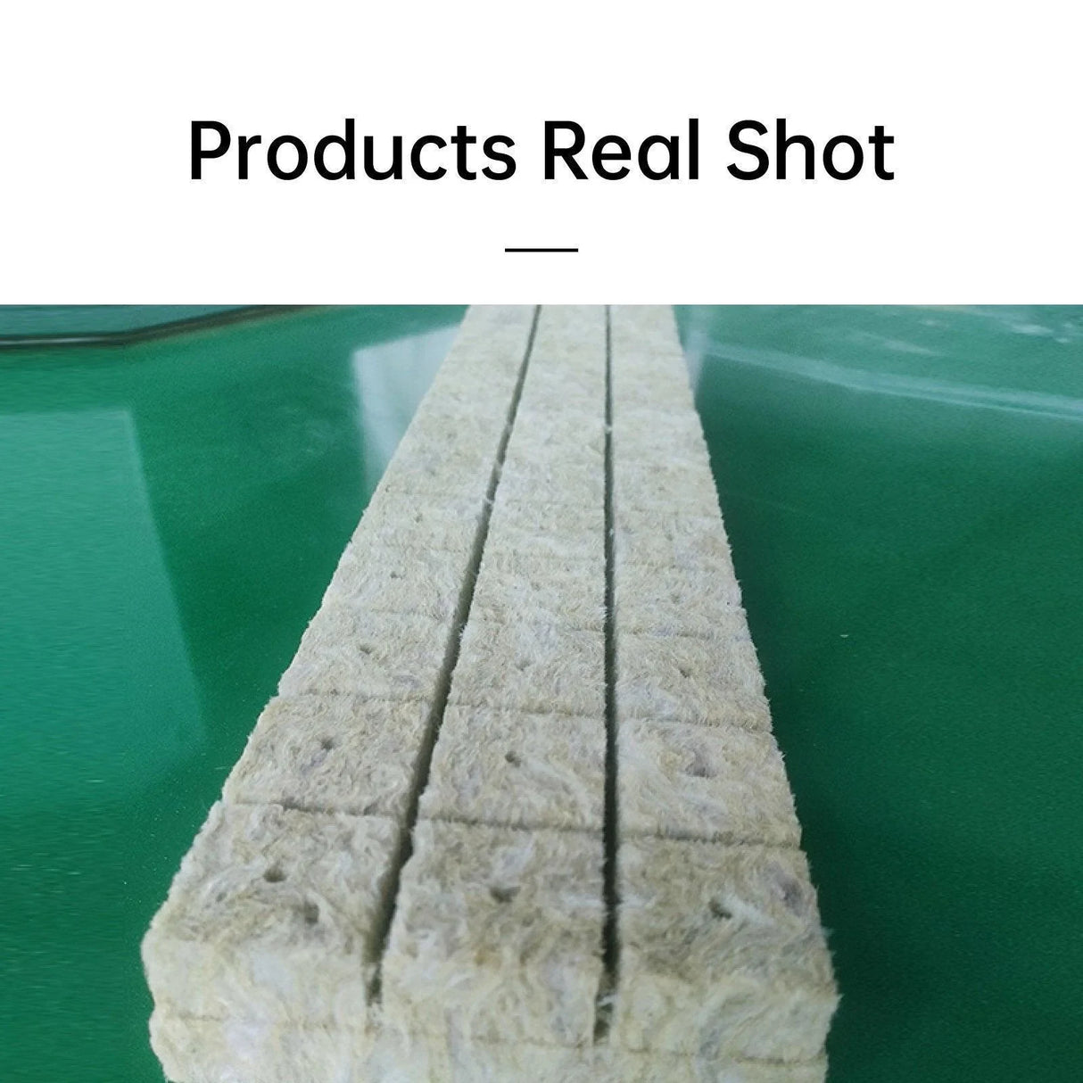 Maximize Your Plant Growth with Propagation Grow Cubes