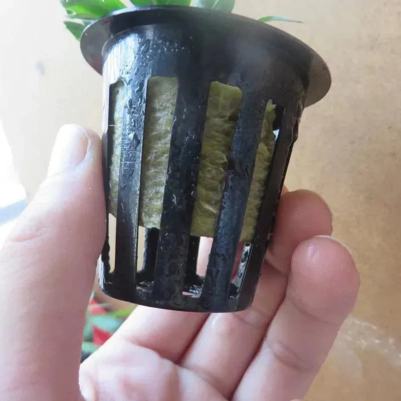 Maximize Your Plant Growth with Propagation Grow Cubes