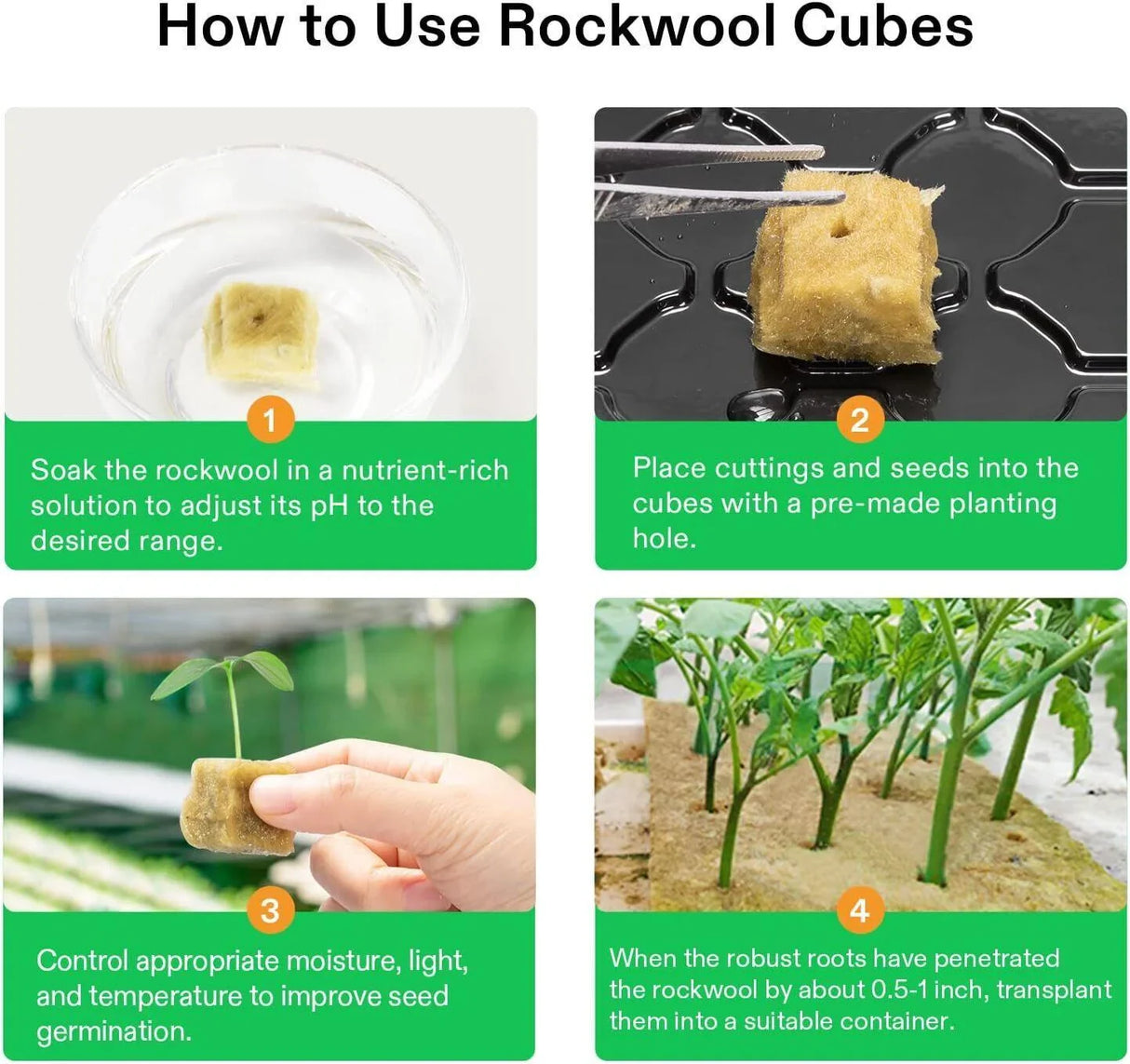 Maximize Your Plant Growth with Propagation Grow Cubes