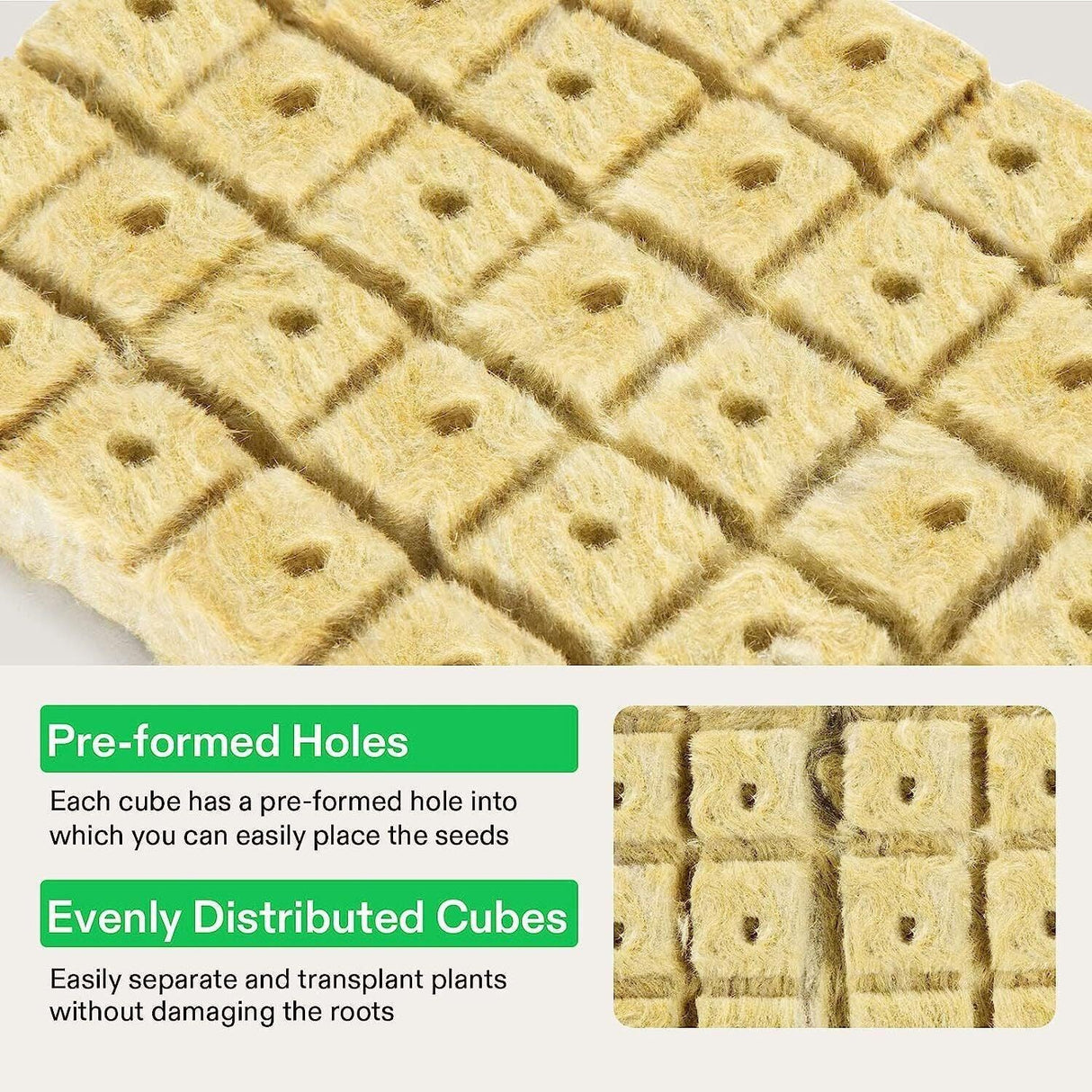 Maximize Your Plant Growth with Propagation Grow Cubes