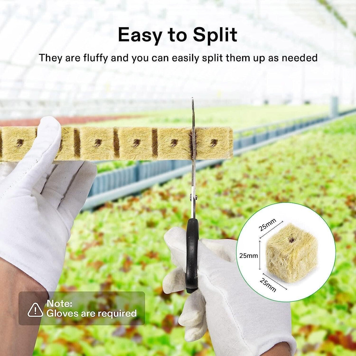Maximize Your Plant Growth with Propagation Grow Cubes