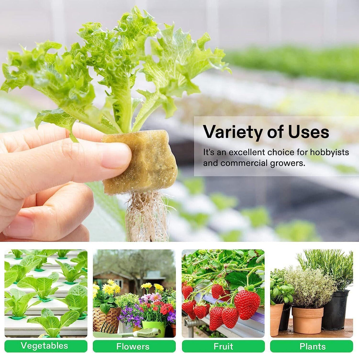 Maximize Your Plant Growth with Propagation Grow Cubes