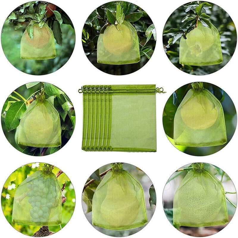 Organza Fruit Protection Bags 50-100PCS 3Sizes Green - Discount Packaging Warehouse