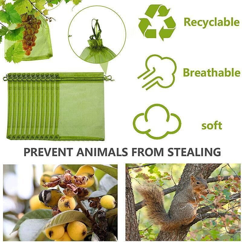 Organza Fruit Protection Bags 50-100PCS 3Sizes Green - Discount Packaging Warehouse