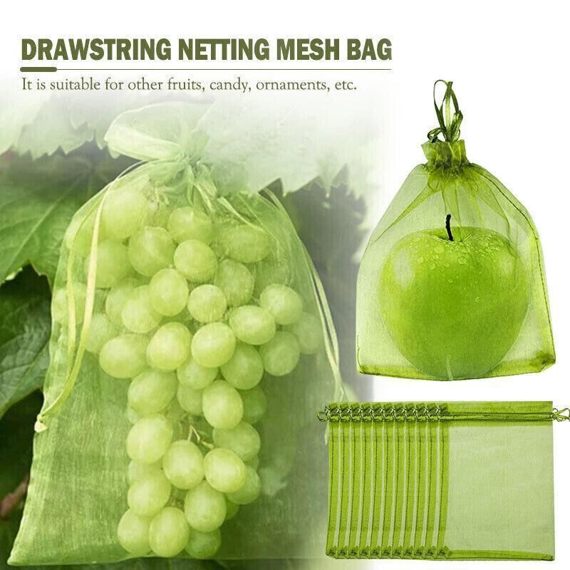 Organza Fruit Protection Bags 50-100PCS 3Sizes Green - Discount Packaging Warehouse