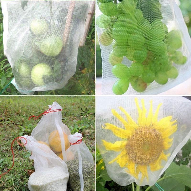 PE Fruit Protection Bags 50-100PCS 6Sizes White - Discount Packaging Warehouse
