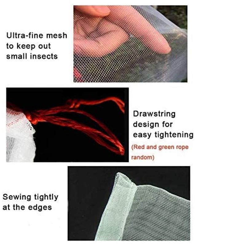 PE Fruit Protection Bags 50-100PCS 6Sizes White - Discount Packaging Warehouse