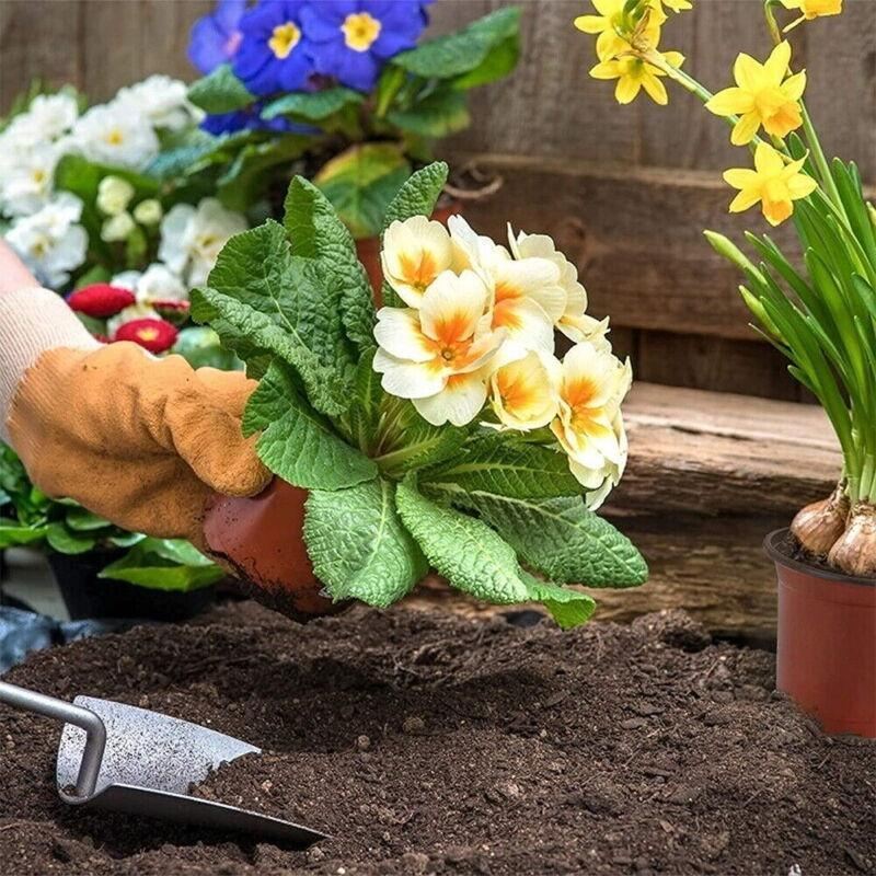 Plastic Plant Pots 100PCS 5Sizes Nursery Seedlings Pot Growing Container - Discount Packaging Warehouse