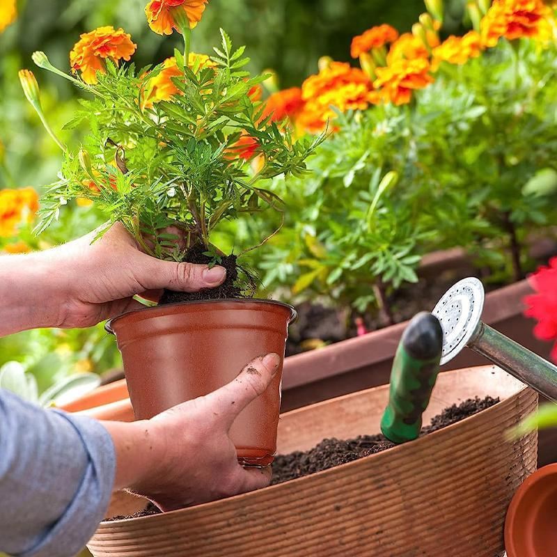 Plastic Plant Pots 100PCS 5Sizes Nursery Seedlings Pot Growing Container - Discount Packaging Warehouse