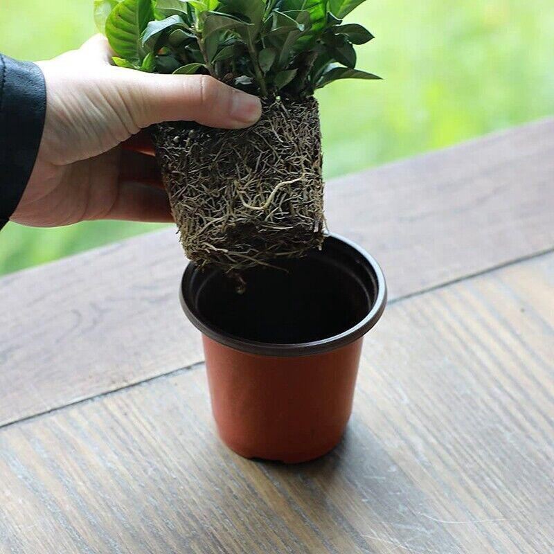 Plastic Plant Pots 100PCS 5Sizes Nursery Seedlings Pot Growing Container - Discount Packaging Warehouse