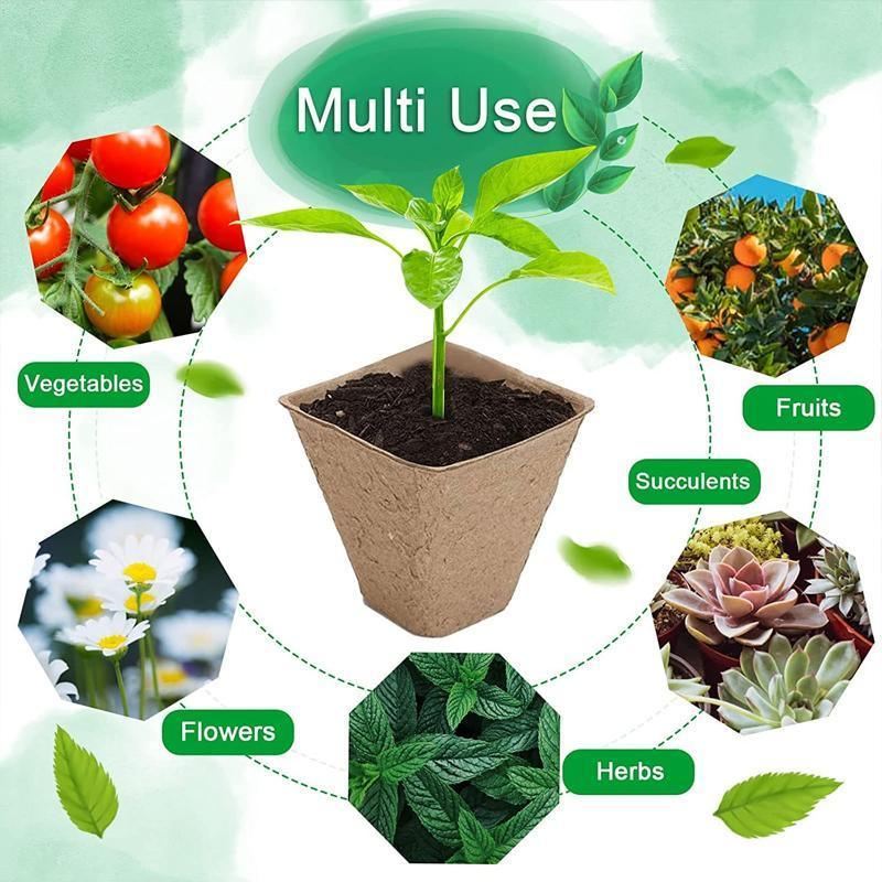 Quality Seeds Trays for Efficient Seed Starting