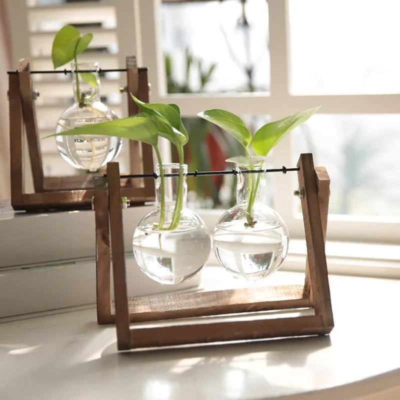 Wooden Frame Glass Vase 1PC 3Sizes Planter Desktop Hydroponics - Discount Packaging Warehouse