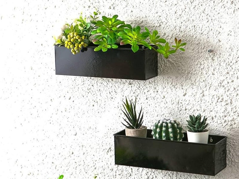 Two black wall-mounted planters hold a variety of succulents and plants against a textured white wall