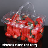 20pcs Transparent Plastic Fruit Boxes Handbasket Style