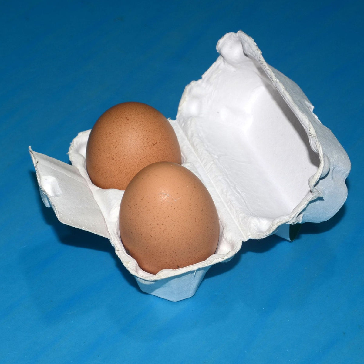 300PCS 2 Slot Paper Egg Trays Molded Pulp Egg Packaging Trays