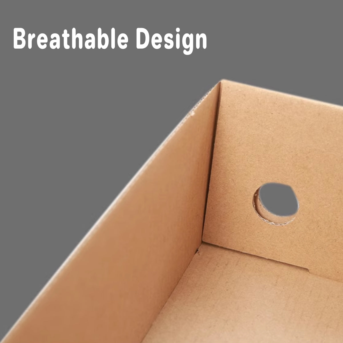 20pcs Kraft Paper Shoe Boxes Clamshell Storage Organizer