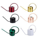 Indoor and Garden Plants Metal Retro Watering Can 6 Colors 1PC