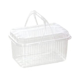 20pcs Transparent Plastic Fruit Boxes Handbasket Style