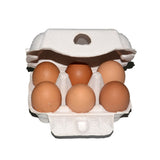 200PCS 6 Slot Paper Egg Trays Molded Pulp Egg Packaging Trays