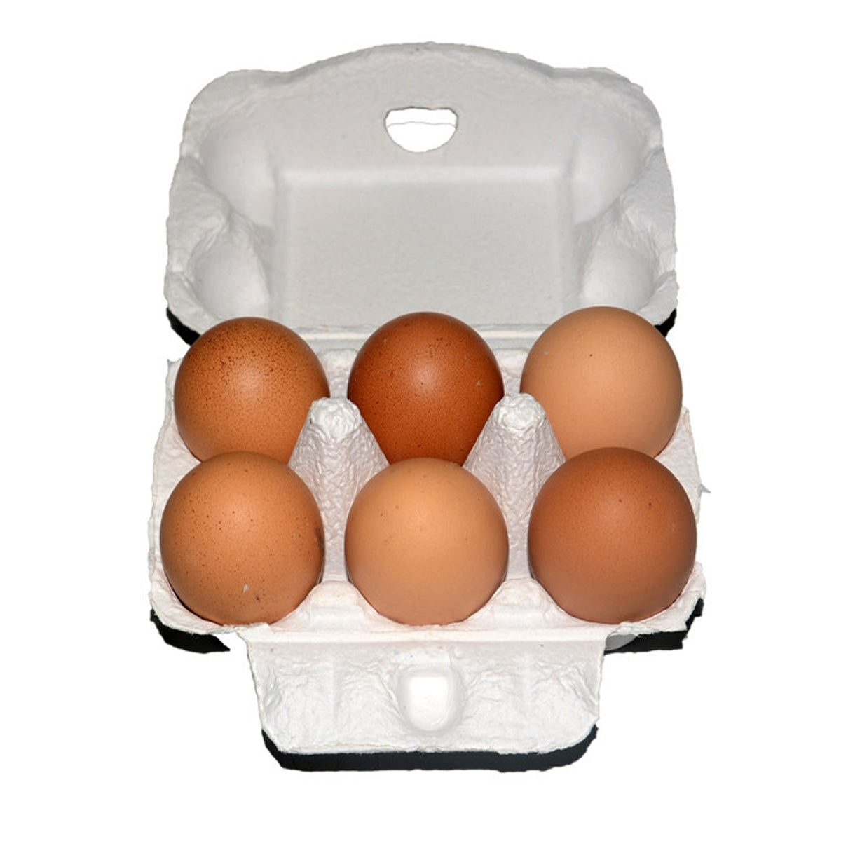 200PCS 6 Slot Paper Egg Trays Molded Pulp Egg Packaging Trays