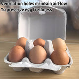 200PCS 6 Slot Paper Egg Trays Molded Pulp Egg Packaging Trays