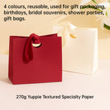 4PCS Paper Gift Bags with Ribbon Handles for Party Favors