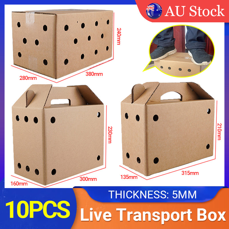 Cardboard Pet Carrier 10PCS 3Sizes Kraft