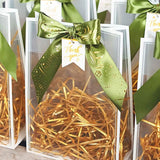 20PCS Clear PP Plastic Gift Bags with Handles for Party Favors