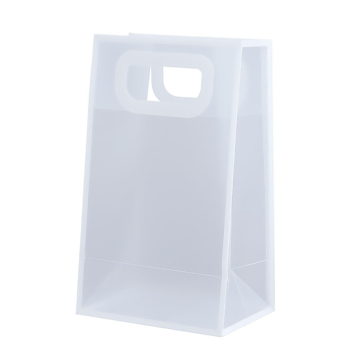 20PCS Clear PP Plastic Gift Bags with Handles for Party Favors