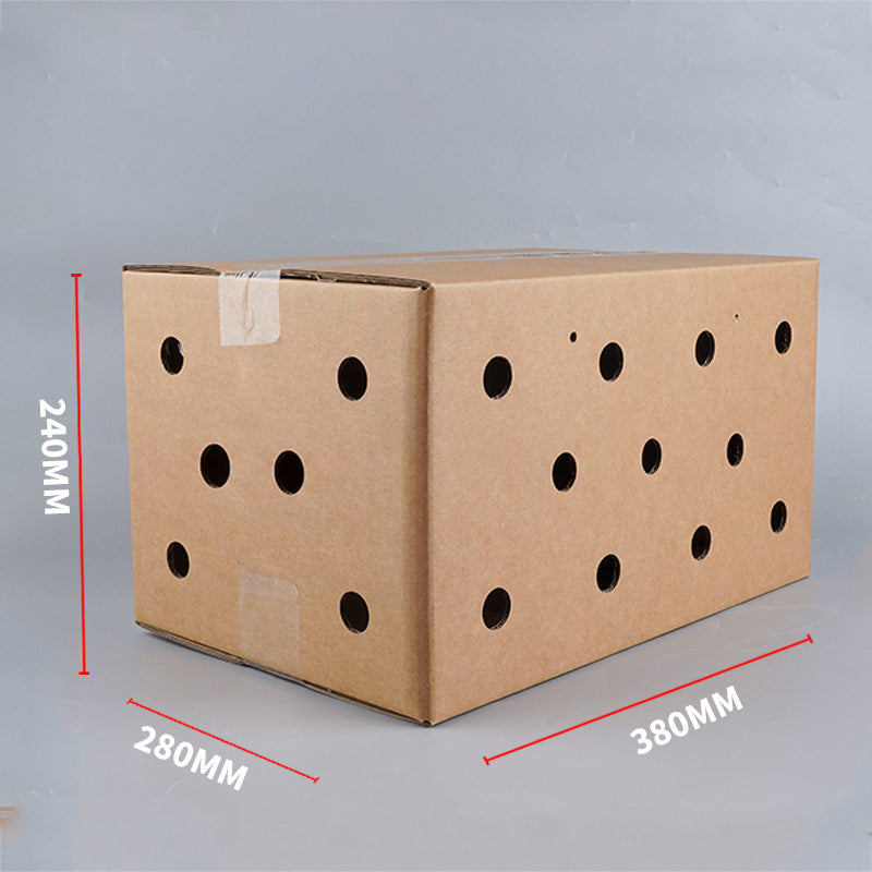 Cardboard Pet Carrier 10PCS 3Sizes Kraft