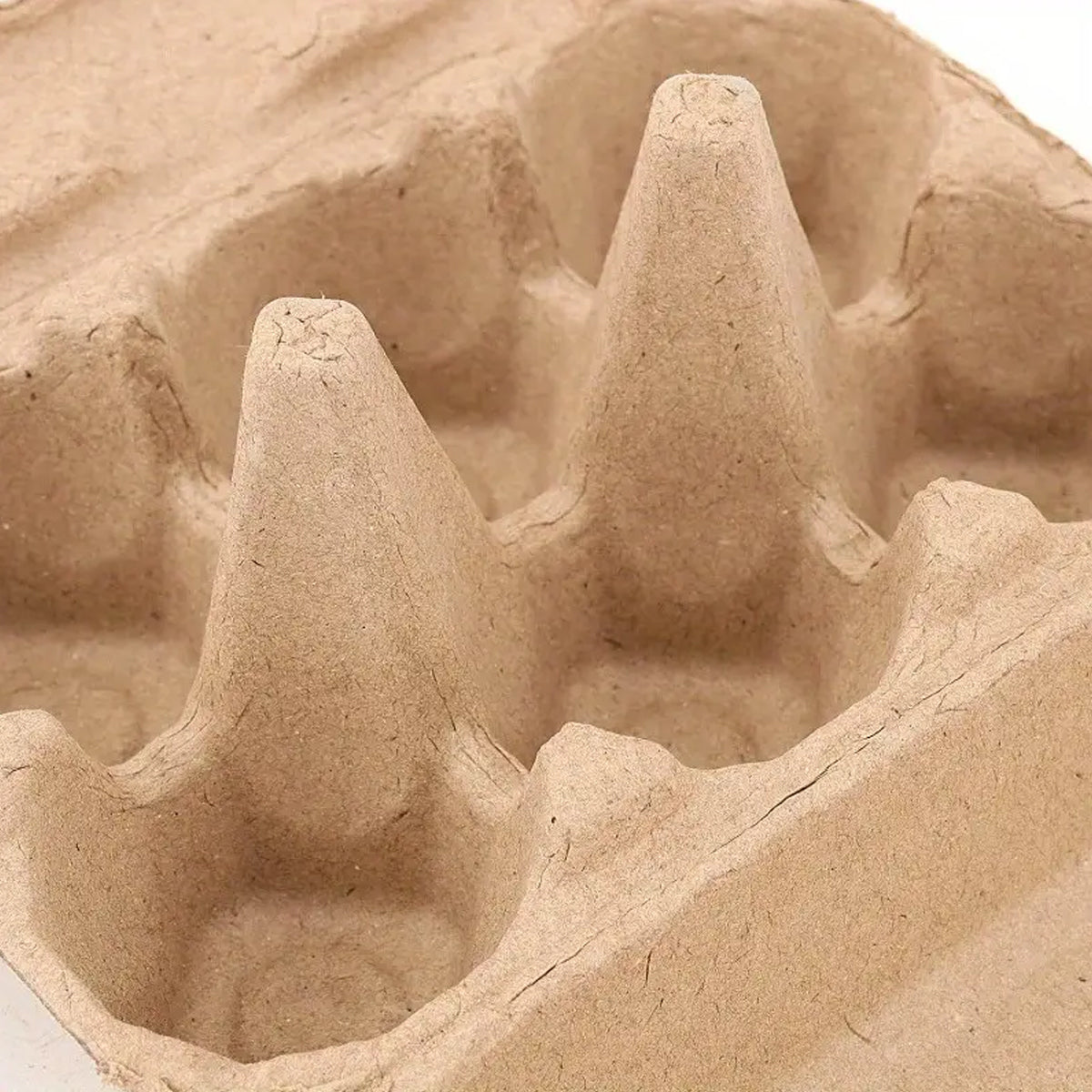 50 Pcs Egg Tray Box 6 8 10 Grid Shockproof Safe Food Storage