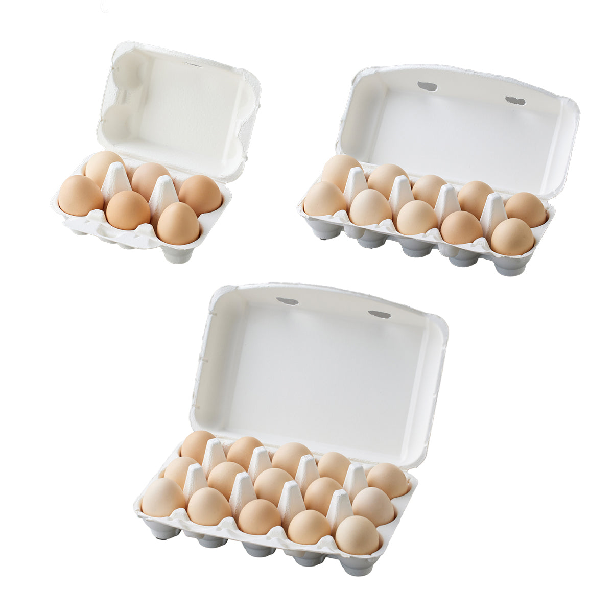 30PCS Pulp Egg Racks Leak-Proof Stackable Egg Storage Trays