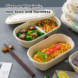50PCS Disposable Two Compartment Salad Box Leakproof Meal Container