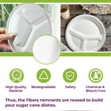 50PCS 9/10 Inch Pulp Plates 3-Compartment Oil Water Proof