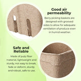 60PCS Biodegradable Pulp Fruit Boxes for Produce Storage