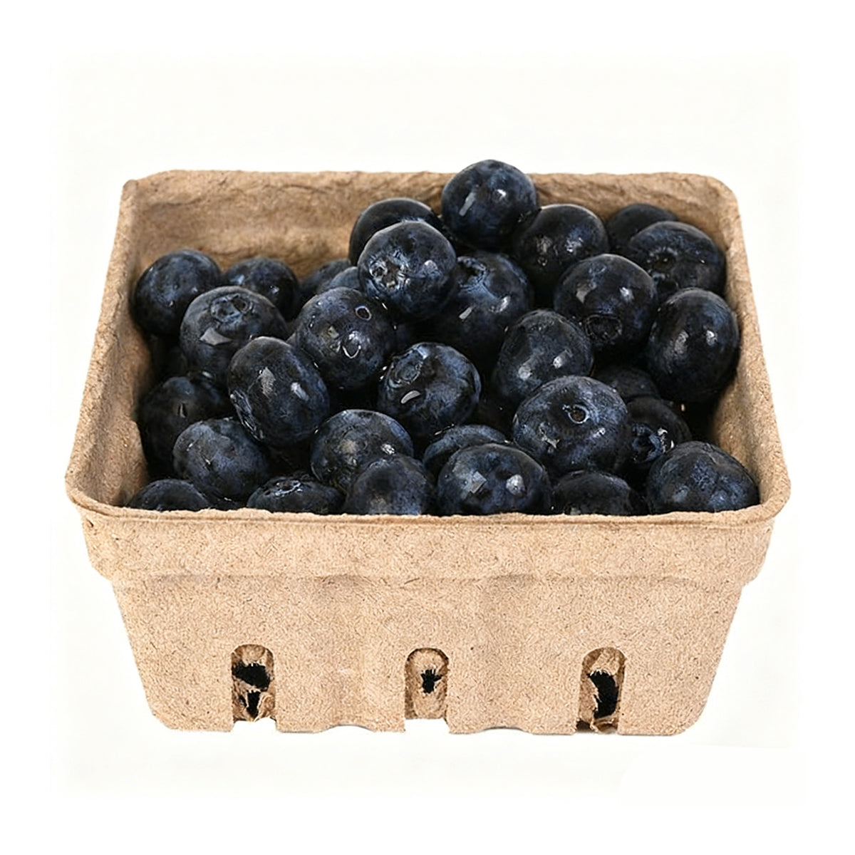 60PCS Biodegradable Pulp Fruit Boxes for Produce Storage