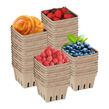 60PCS Biodegradable Pulp Fruit Boxes for Produce Storage