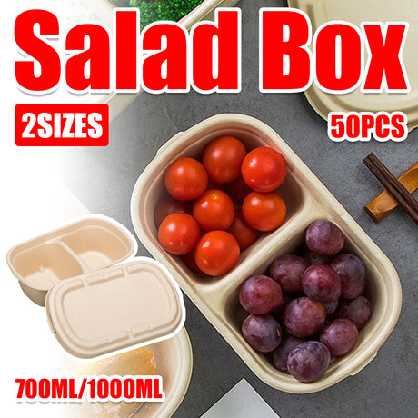 50PCS Disposable Two Compartment Salad Box Leakproof Meal Container