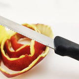 Stainless Steel Steak Knives Set 6PCS PP Handle