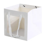Stylish Paper Gift Bag with Window 3 Colors 20PCS
