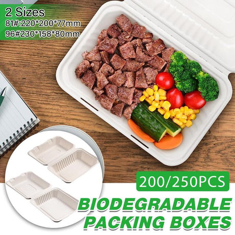Durable and convenient take away boxes for food packaging.