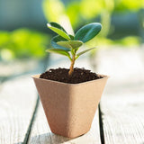 Boost Your Garden with Eco-Friendly Pulp Nursery Pots