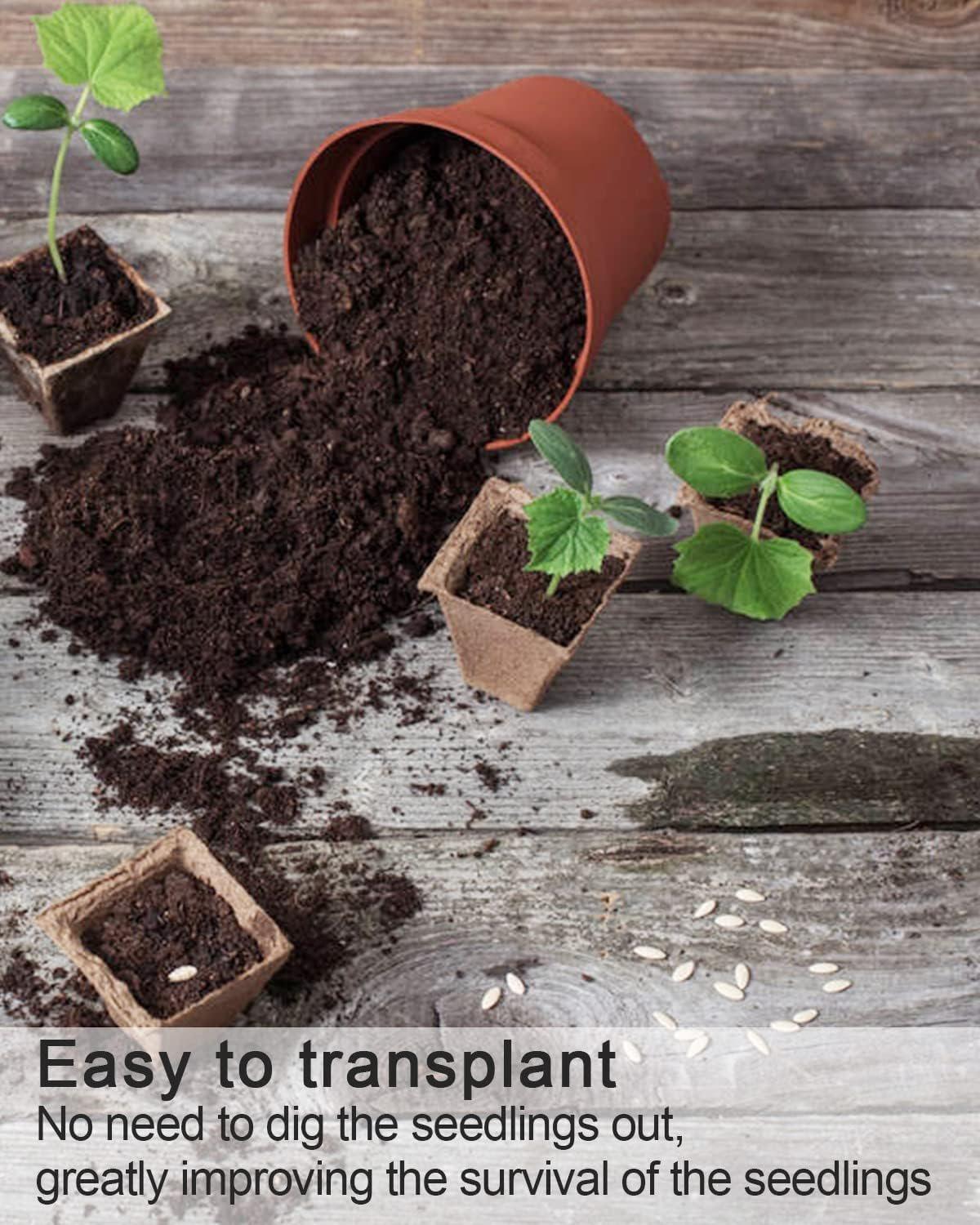 Boost Your Garden with Eco-Friendly Pulp Nursery Pots