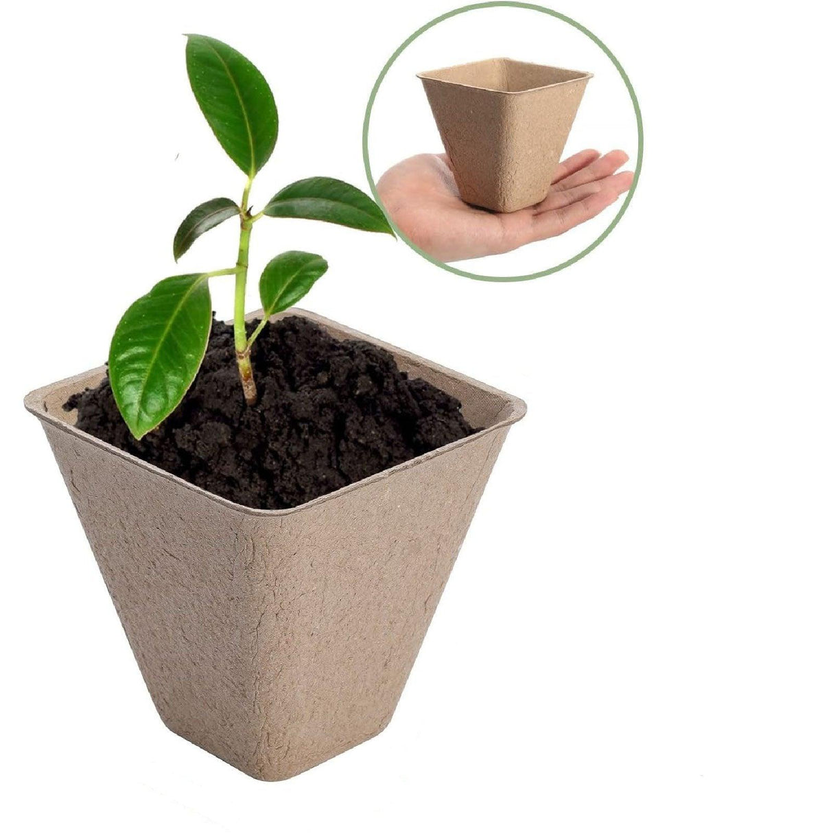 Boost Your Garden with Eco-Friendly Pulp Nursery Pots